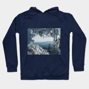 Winter Frame 2 Hoodie